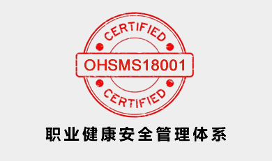 OHSMS18001IȫwϵJCԃ